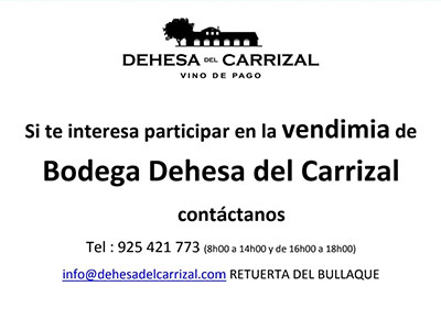 Noticias Ayto Menasalbas